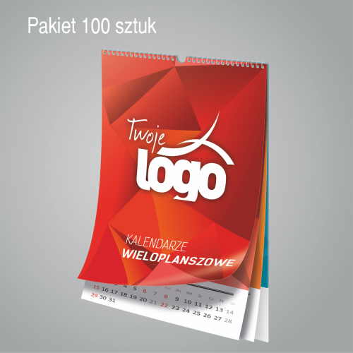 pakiet 100 sztuk.png