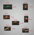 notes magnetyczny_świat dinozaurów_MAGNES.png